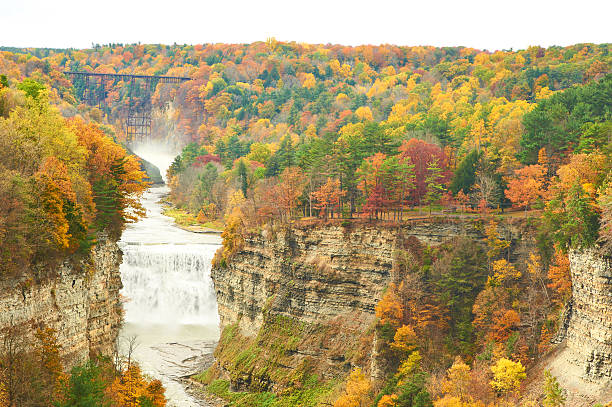 istock Autumn scene of waterfalls and gorge 482649344