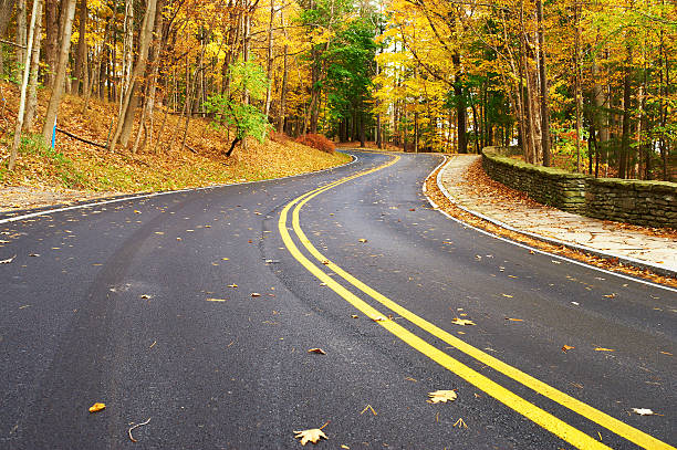 istock Autumn scene with road in forest 482649356