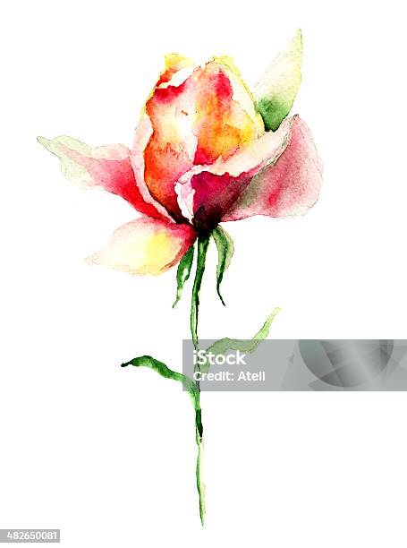 Roseflower Stock Vektor Art und mehr Bilder von Aquarell - Aquarell, Baumblüte, Bedecktsamer