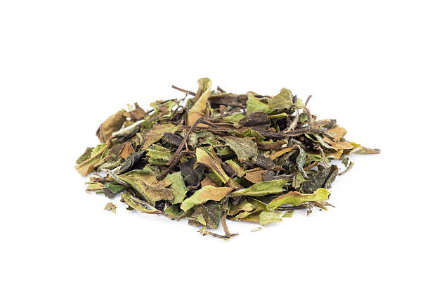 istock Loose green leaves of white tea bai mu dan 482651018