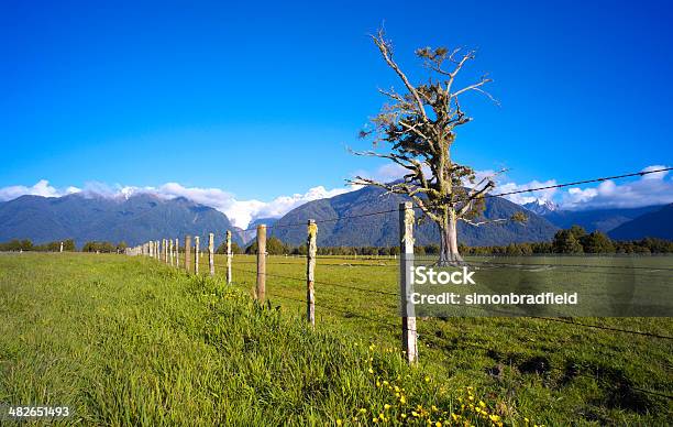 Fox Glacier Landscape Stock Photo - Download Image Now - Barbed Wire, Boundary, Buttercup