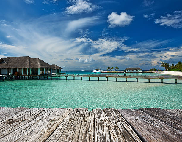 istock Beautiful beach with water bungalows 482651548