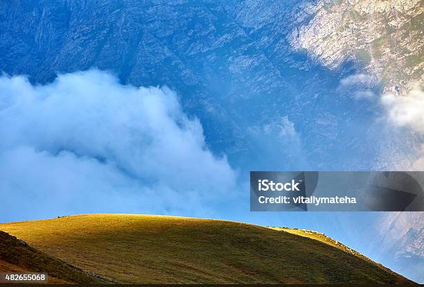 Caucasus Mountains Georgia Stock Photo - Download Image Now - 2015, Activity, Animal Wildlife