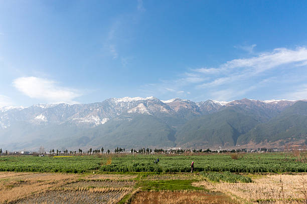 istock scenery of Cangshan mountain 482658130