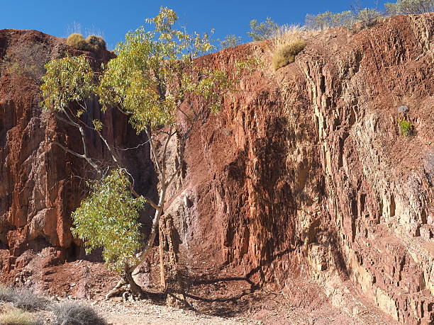 вверх охра линии в банках на залив - aboriginal art australia cave painting стоковые фото и изображения