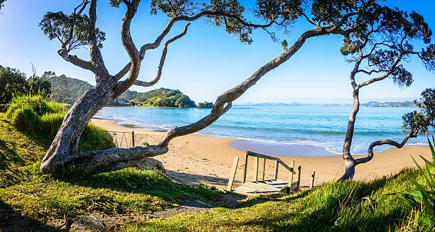 Sunrise at one of Northland New Zealand's idyllic east coast beaches.