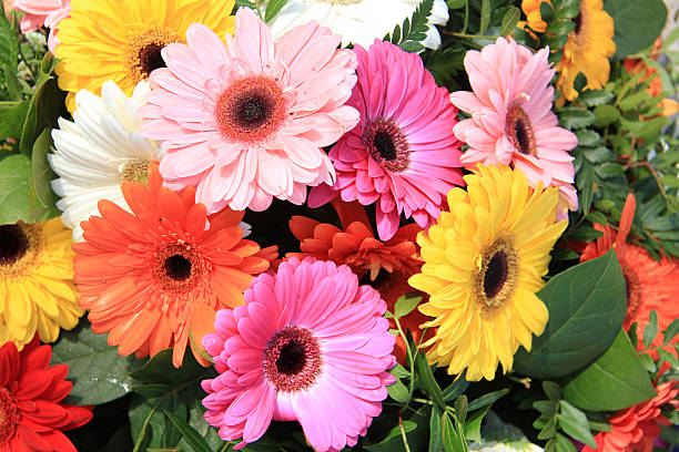 istock Gerberas in a colorful bridal bouquet 482659315