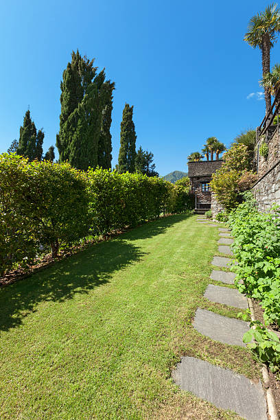 istock green garden with hedges 482662456