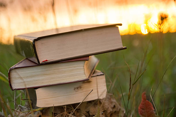 istock Stack of hardback books on blurred nature background against sunset 482664200