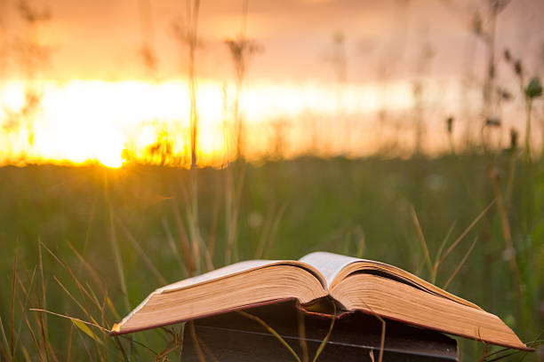 istock Opened hardback book with fanned pages on blurred nature background 482664202