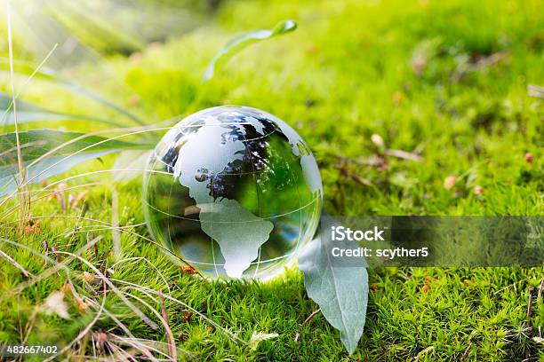 Globe Resting On Moss In A Forest Stock Photo - Download Image Now - Glass - Material, Globe - Navigational Equipment, Environmental Conservation