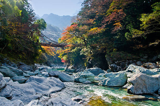 istock Iya valley and Kazurabashi vine bridge 482667834