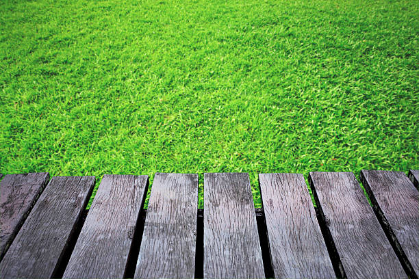 istock Green grass blurred background and old brown wooden floor. 482668836