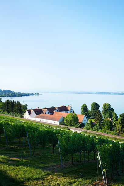 istock Vinyards and tracks along lake Bodensee 482670392