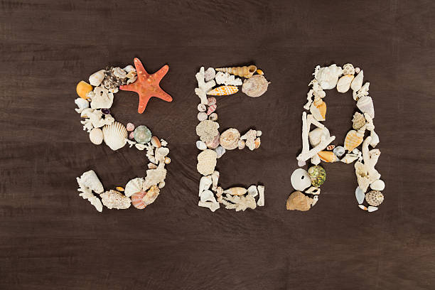 istock inscription made of seashells 482670817