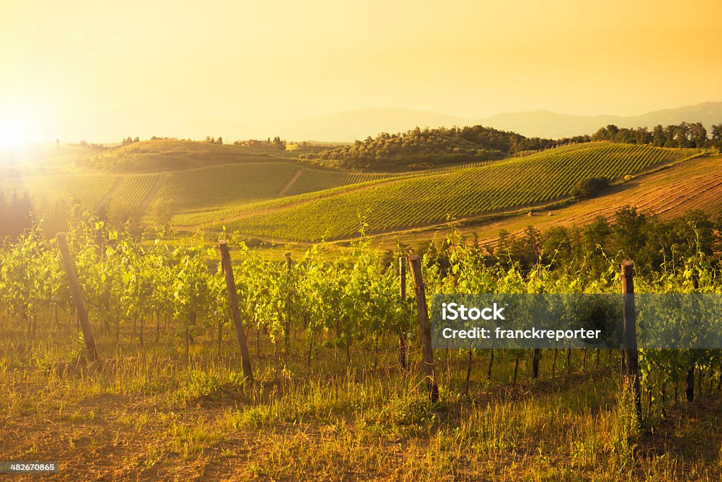 키안티 지역 힐스 해질녘 Tuscany-이탈리아 - 로열티 프리 0명 스톡 사진