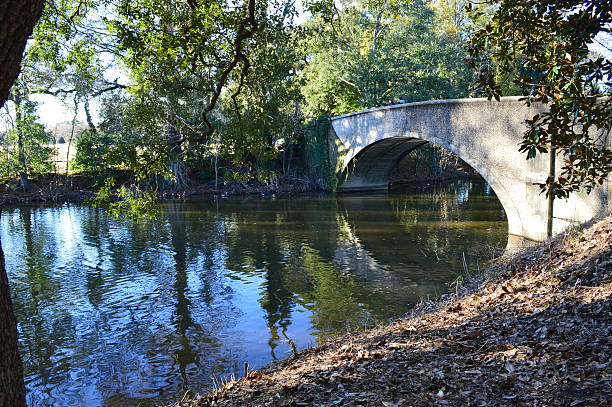 nueva orleans, louisiana, audubon puente sobre el lago - audubon park zoo fotografías e imágenes de stock