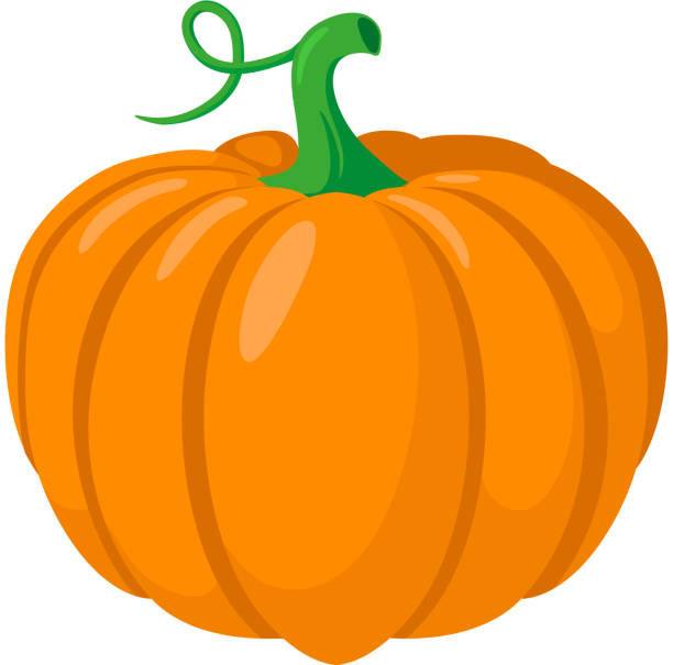 Pumpkin vegetable. Colorful design element isolated on white. Eps 10 vector illustration. pumpkin stock illustrations