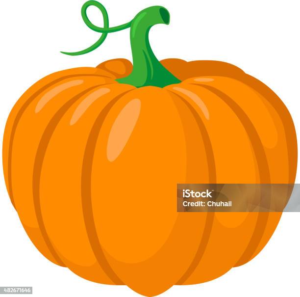 Pumpkin Vegetable Stock Illustration - Download Image Now - Pumpkin, Vector, Clip Art