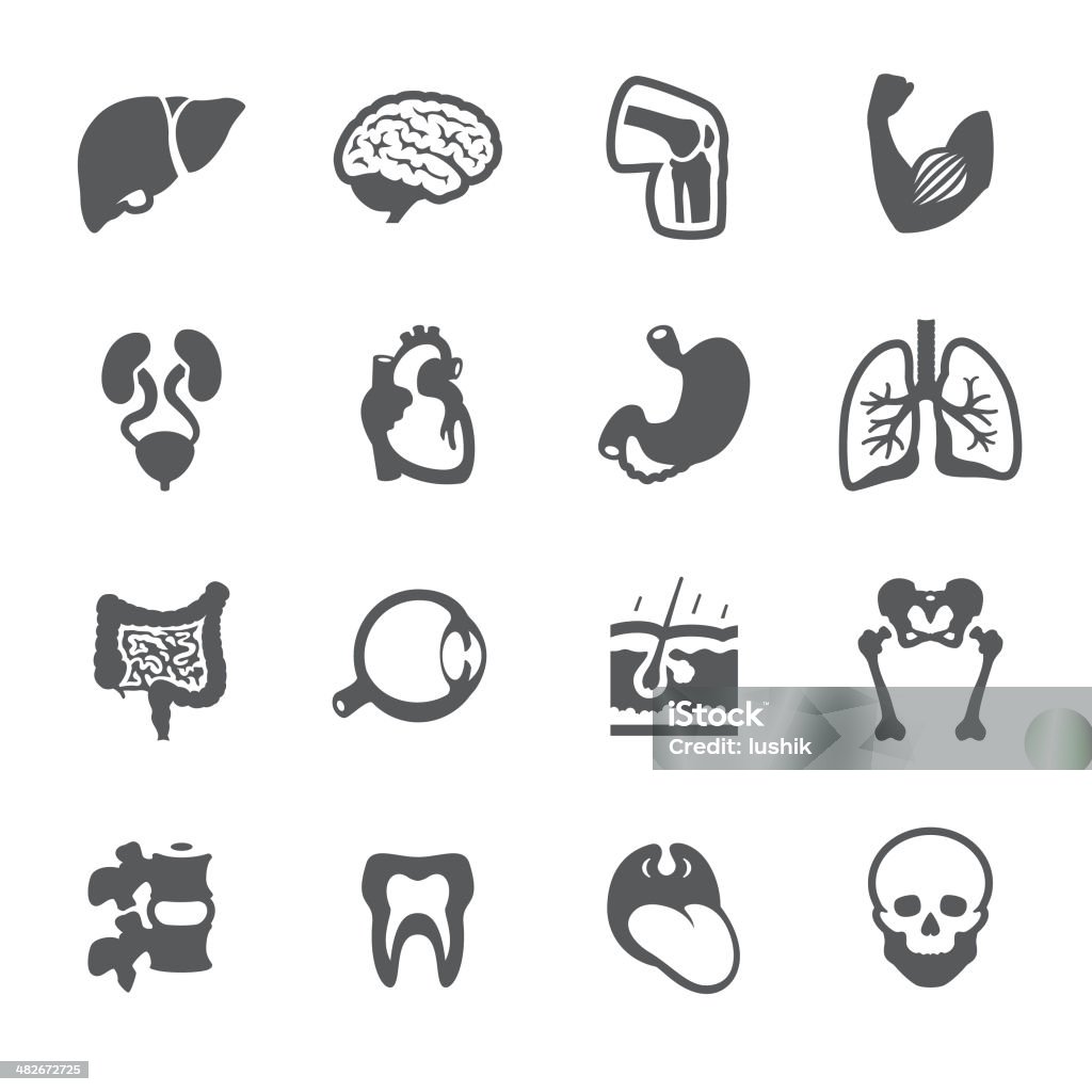 Mobico icons - The Human Body Mobico collection - Anatomy of the Human Body icons. Icon Symbol stock vector