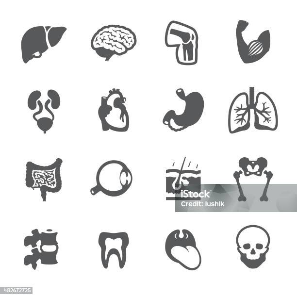 Mobico Icons The Human Body Stock Illustration - Download Image Now - Icon Symbol, Joint - Body Part, Abdomen