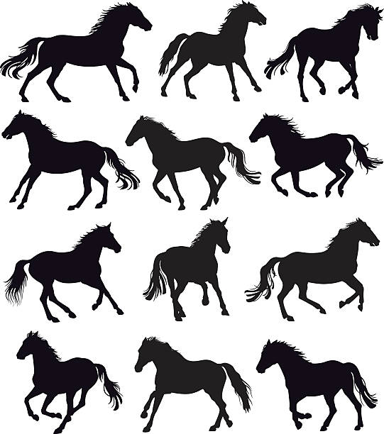 illustrazioni stock, clip art, cartoni animati e icone di tendenza di corsa di cavalli - horse running vector animals in the wild