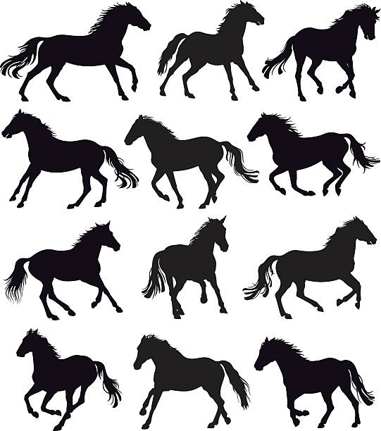 Running Horses Vector silhouettes of galloping wild horses. pony stock illustrations