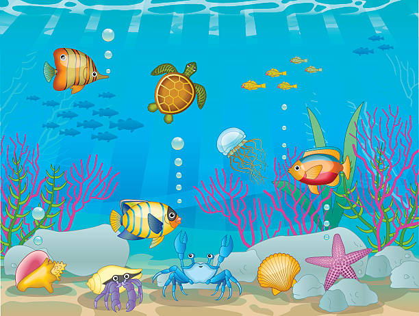 underwater scene A vector illustration of an underwater ocean scene. sea turtle clipart stock illustrations