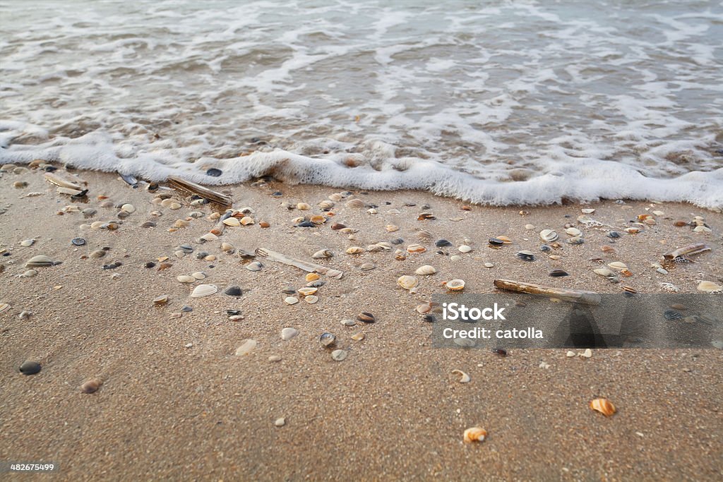 Ondas do mar na areia da praia com conchas de molusco - Foto de stock de Areia royalty-free