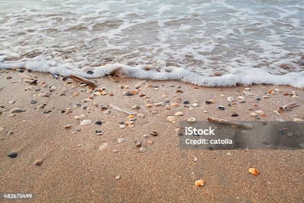 Foto de Ondas Do Mar Na Areia Da Praia Com Conchas De Molusco e mais fotos de stock de Areia