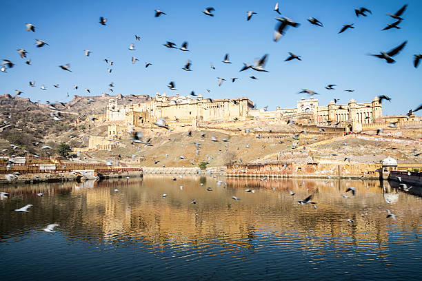 istock Birds Flying at Amber Palace Jaipur India 482675759