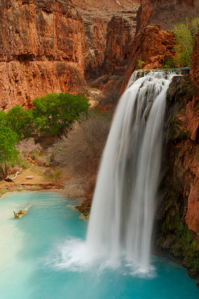 Havasu Falls The serene seting of Havasu Falls shot with a slow exposure to soften the water movement. Please see my other images of North American Landscapes and Nature by clicking on the LightBox link below...  havasupai indian reservation stock pictures, royalty-free photos & images