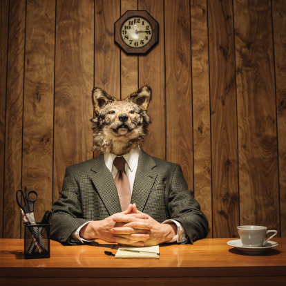 A corporate CEO or business man with the head of a wolf sits in his office in front of a notepad and a cup of coffee, ready to make important decisions or fire someone.  Square crop with some copy space.