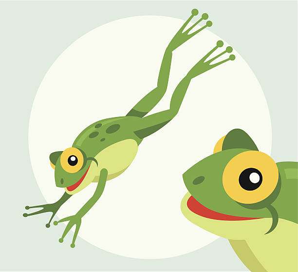 Jumping frog Jumping frog cartoon frog illustrations stock illustrations