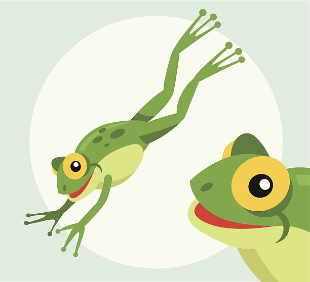 Jumping frog vector art illustration