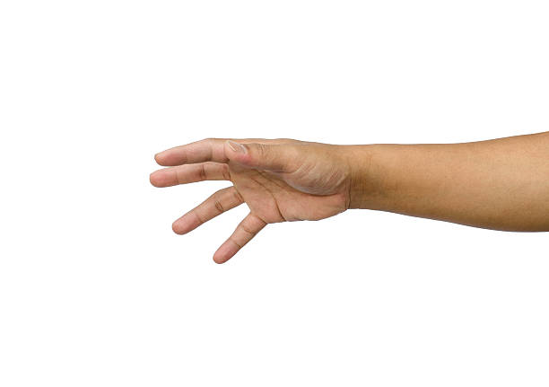 istock hand reaching for something isolated on a white background 482679760