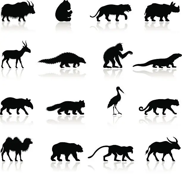 Vector illustration of Asian Animal Silhouettes