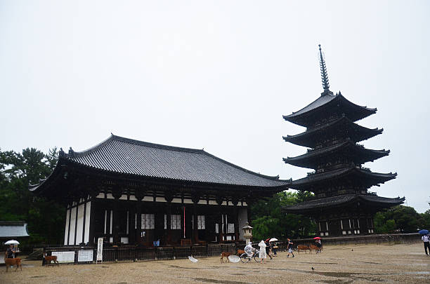 kofukuji temple in nara, japan - 興福寺 奈良 個照片及圖片檔