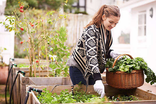istock Organic is the only way to go 482681776