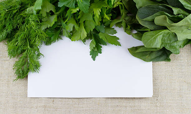 istock Different culinary greens and white sheet of paper 482685164