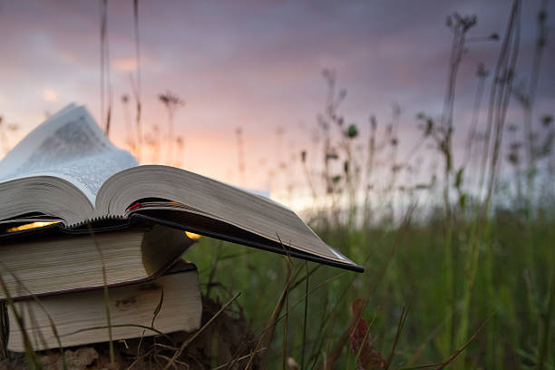istock Opened hardback book with fanned pages on blurred nature background 482686480