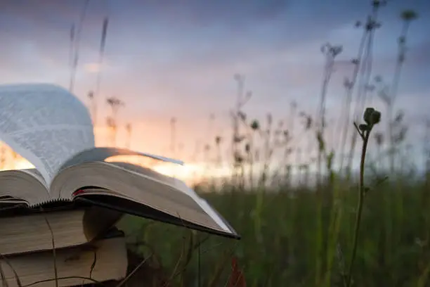 Photo of Opened hardback book with fanned pages on blurred nature background