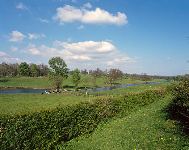 istock Scenic Cotswolds - Sherborne Valley 482688343
