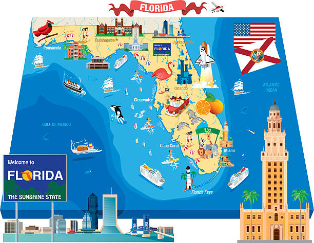 мультяшный карта флорида - florida cartography map florida keys stock illustrations