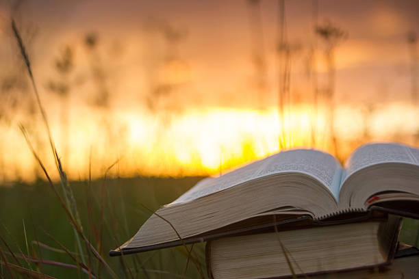 istock Opened hardback book with fanned pages on blurred nature background 482689086