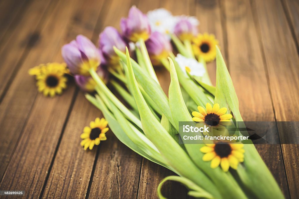 Lila Frühling Tulpen und Gänseblümchen-Blumen - Lizenzfrei Bauholz-Brett Stock-Foto