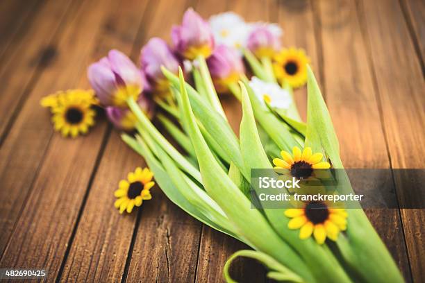 Lila Frühling Tulpen Und Gänseblümchenblumen Stockfoto und mehr Bilder von Bauholz-Brett - Bauholz-Brett, Blatt - Pflanzenbestandteile, Blume