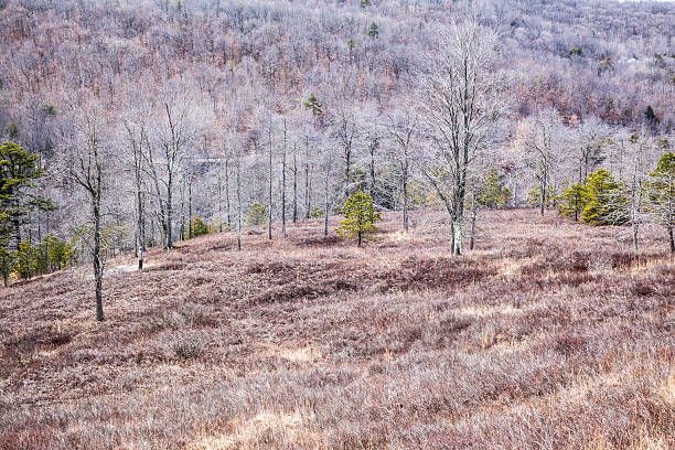 молодой человек, походы в горы's forest в начале весны - the poconos region стоковые фото и изображения