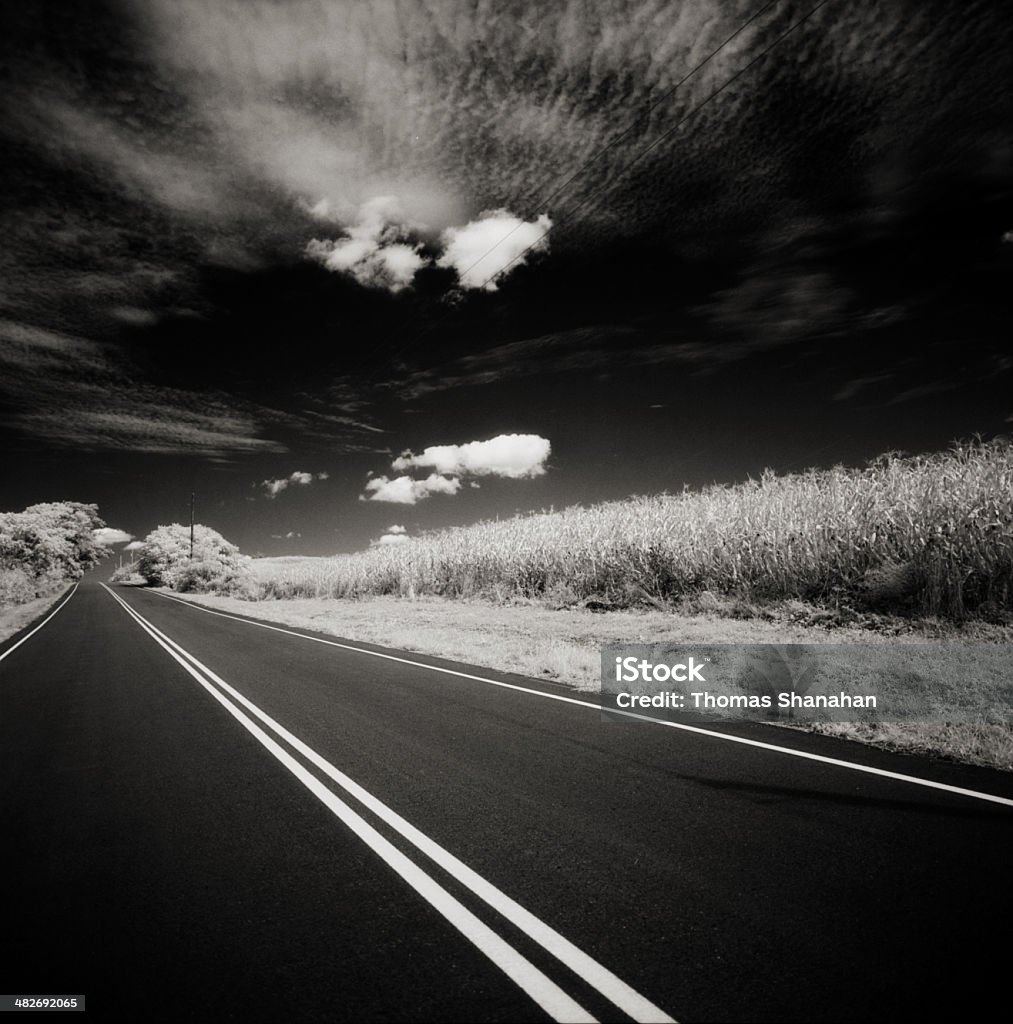 Road, Sky y Corn Field - Foto de stock de Agricultura libre de derechos