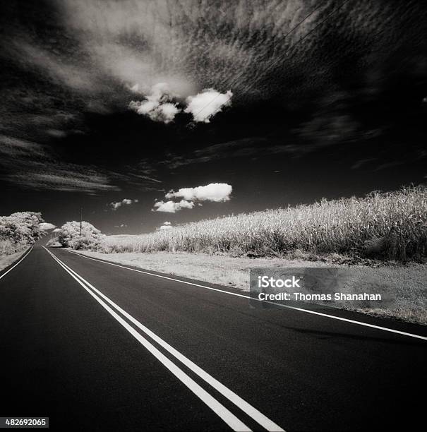 Road Sky Y Corn Field Foto de stock y más banco de imágenes de Agricultura - Agricultura, Aire libre, Aislado